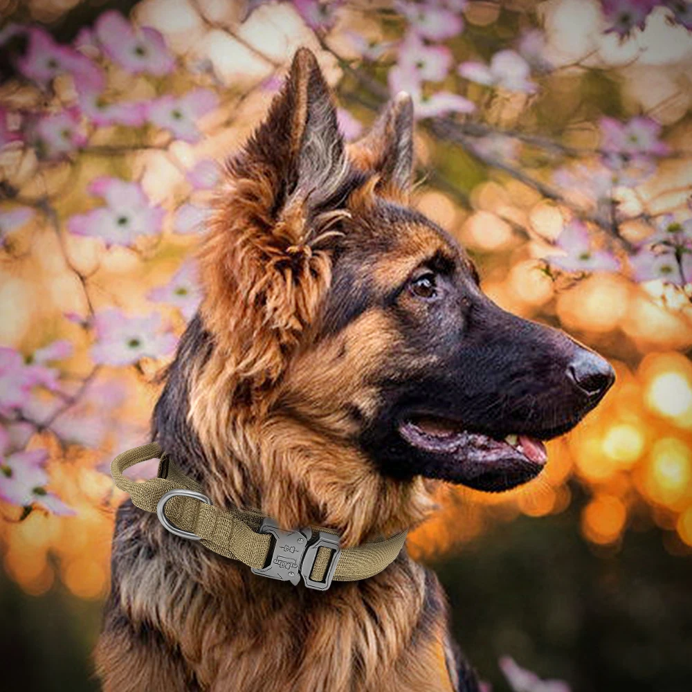 Military Tactical Dog Collar German Shepard Medium Large Dog Collars For Walking Training Duarable Dog Collar Control Handle