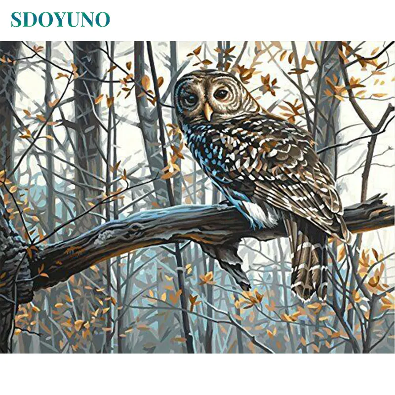 

SDOYUNO Frameless Painting By Numbers DIY 60X75cm Owl Animals On Canvas Paint By Number Canvas Painting Kits Home Decor