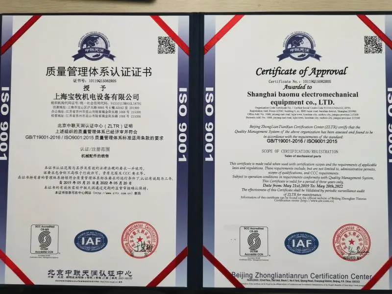 1005004258381556