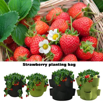 

5 And 10 Gallons Planting Bag Outdoor Indoor Planter Strawberry Greening Grow Bag Flower Growing Container