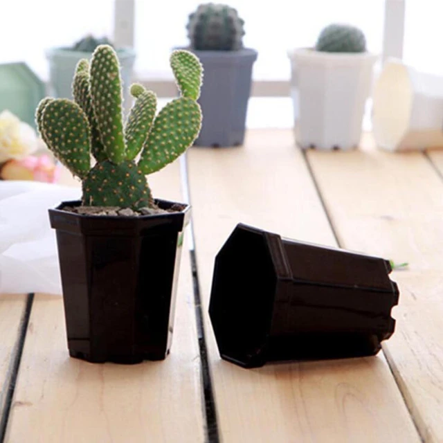 1pc Mini coloré en plastique plante Pot de fleur planteur - Temu