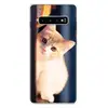 Mobile Phone Accessories