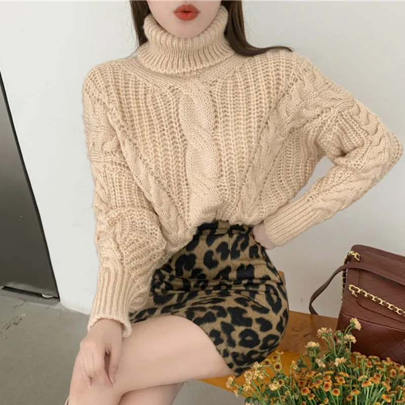 Зима 2020 длинный рукав-фонарик водолазка свитера женские шикарные свободные