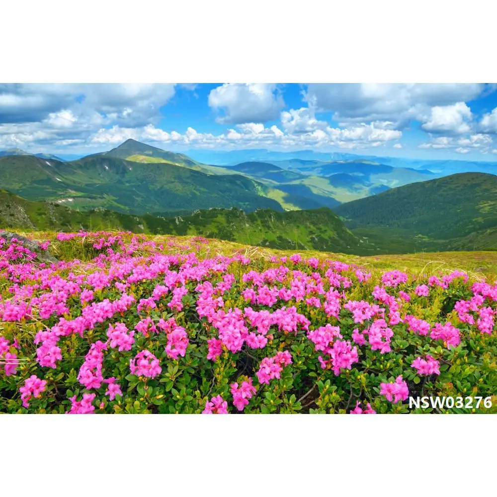 thumbnail image 1 of Fondos de fotografía de paisajes naturales con cielo azul, nubes blancas, montañas, árboles y ríos para bebés, 1 of 5