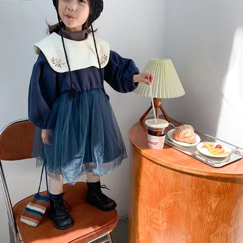 

Children Clothing 2020 New Autumn and Winter Girls Velvet Lace Princess Dress Toddler Kids Long Sleeve Embroidered Lapel Dresses