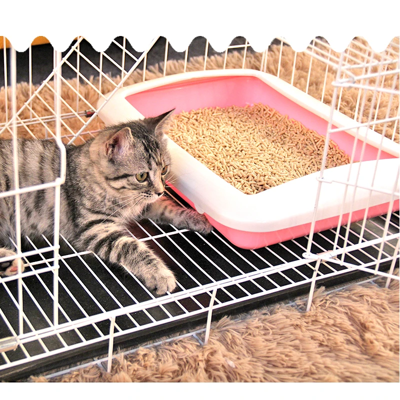 kitty potty training