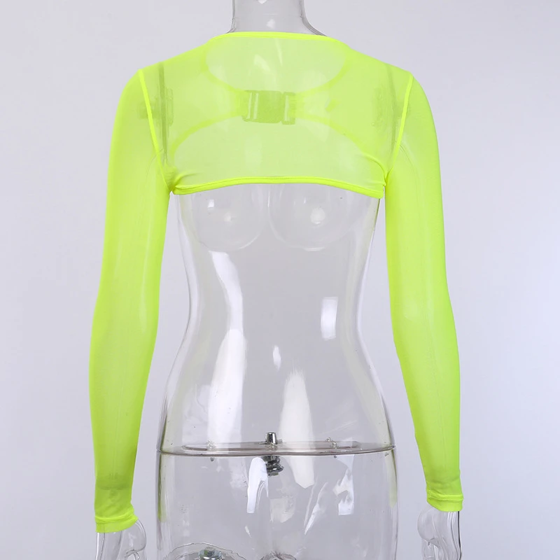 11593746072_1602708471