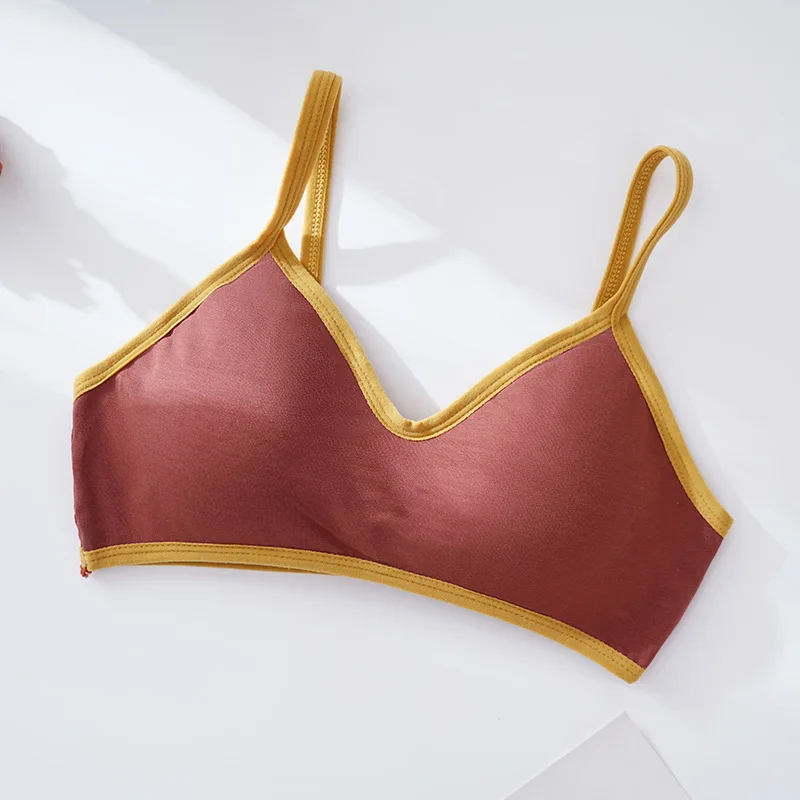 Soutien-gorge en coton pour femmes, lingerie sexy, sans couture