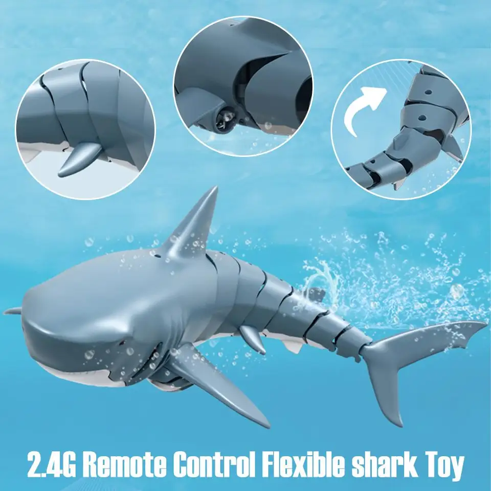 rc shark