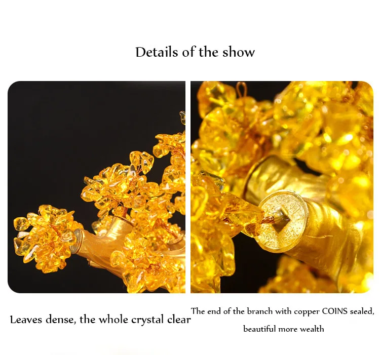 11108735446_488894358