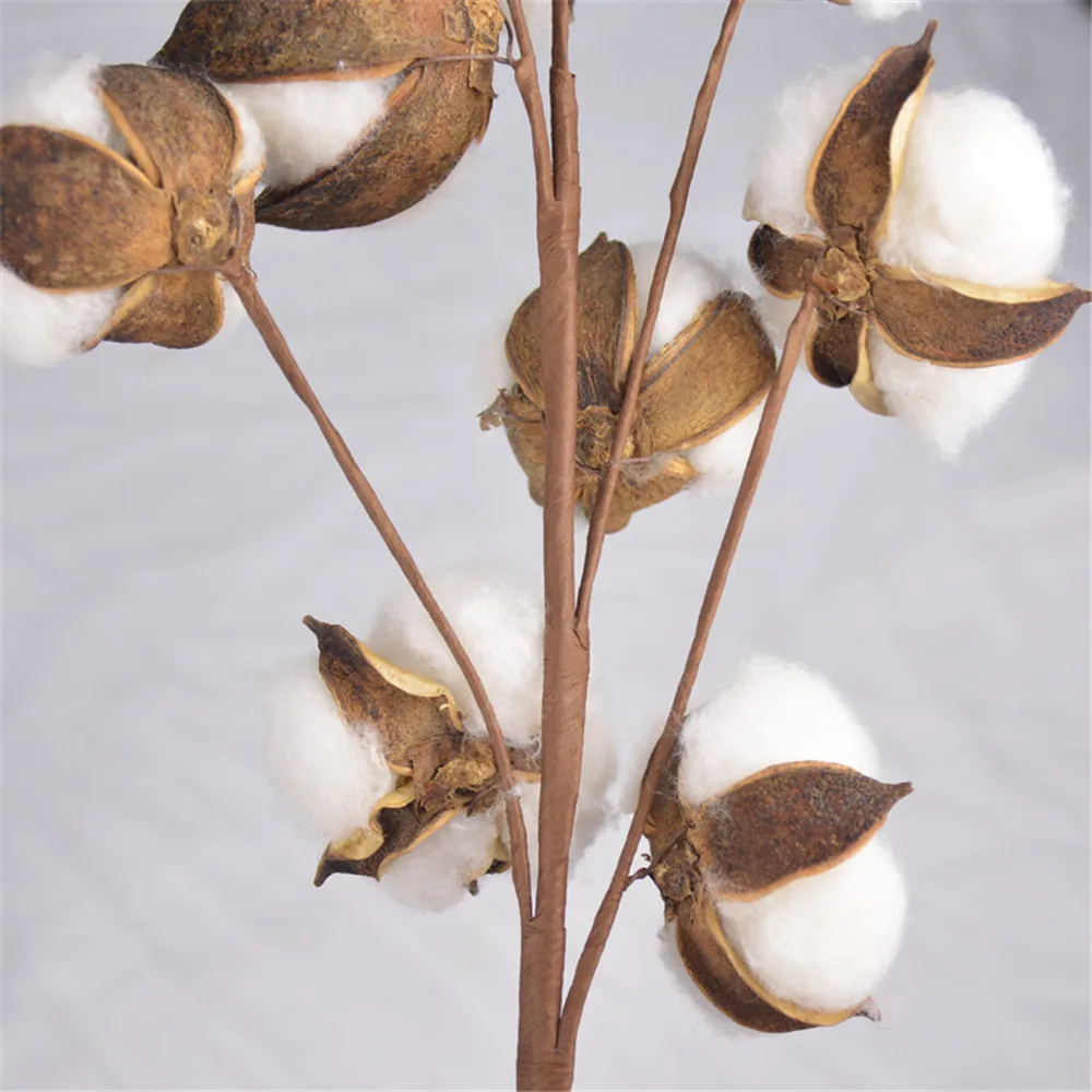 10 шариков на стебель хлопковые цветы сушеные стебли фермерские Натуральные