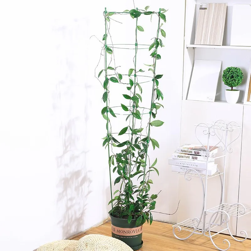 10656836719_731373760