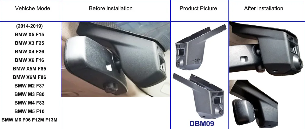 DBM09
