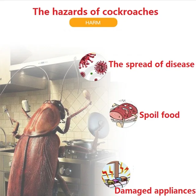 30 Pcs Cloting Cleting Csarn Bieit Biit Boit Csoptict Coktreach Kill Pen 2020 Varázslatos Krétás Csótány Hangya Gyógyszerek Por Kártevőirtás - Image 3