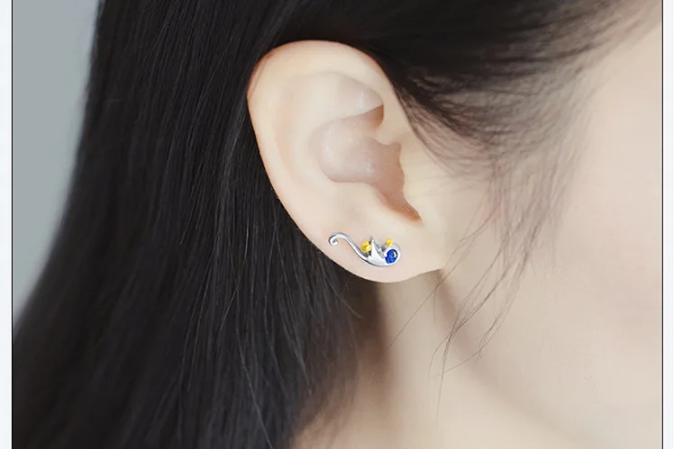 11308346353_1440647286