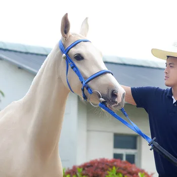 

3M Horse Riding Bridle Halters Horse Neck Collar Stretch Horse Rein Racing Equipment Equestrian Supplies Training Rider Tools