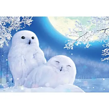

5D Diy Diamond Painting winter owl Cross Stitch diamond Kits Home Decoration full Square Diamond Embroidery animal owl