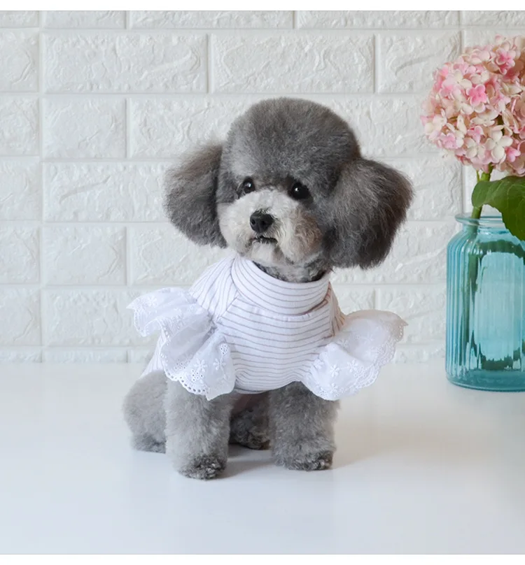 Dog-clothes-newest-spring-and-summer-dog-vests-pet-small-dog-clothes-dog-bottoming-tshirts-for(3)