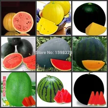 30 шт(16 видов) арбуз ОО-овощи фрукты ОО(WMM100-16-1
