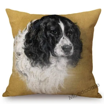 conew_n387 (28) 副本