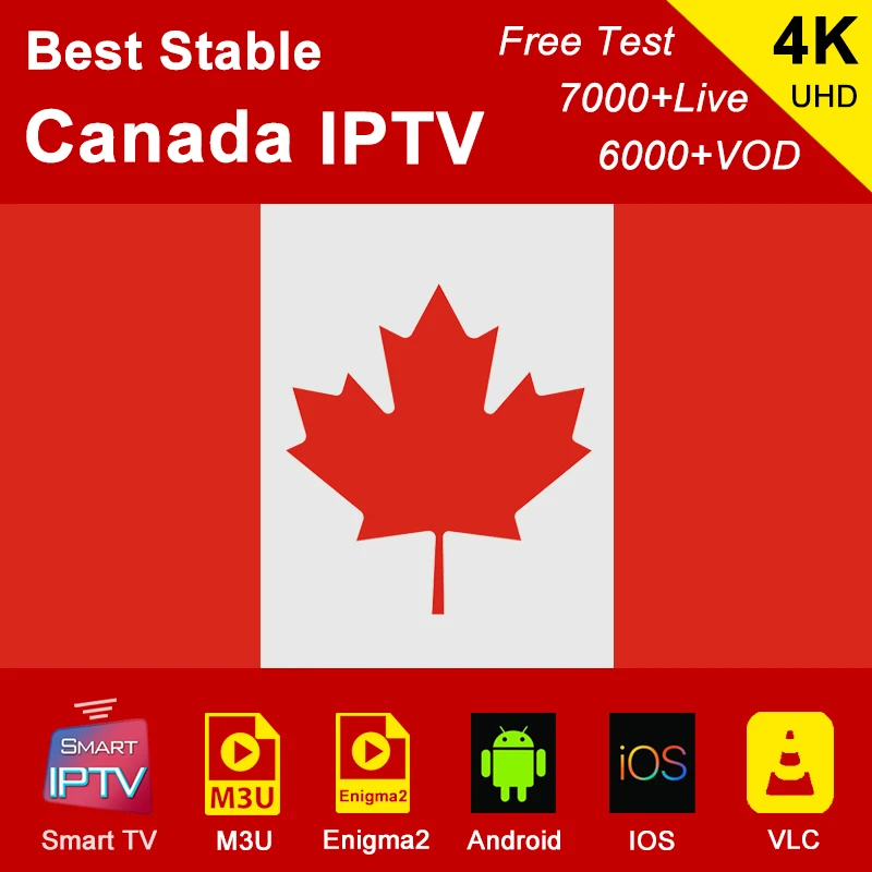 Канада IPTV подписка M3U Abonnement IPTV Франция Испания Германия США Италия Португалия Android Smart IPTV Enigma2 для IOS телефона