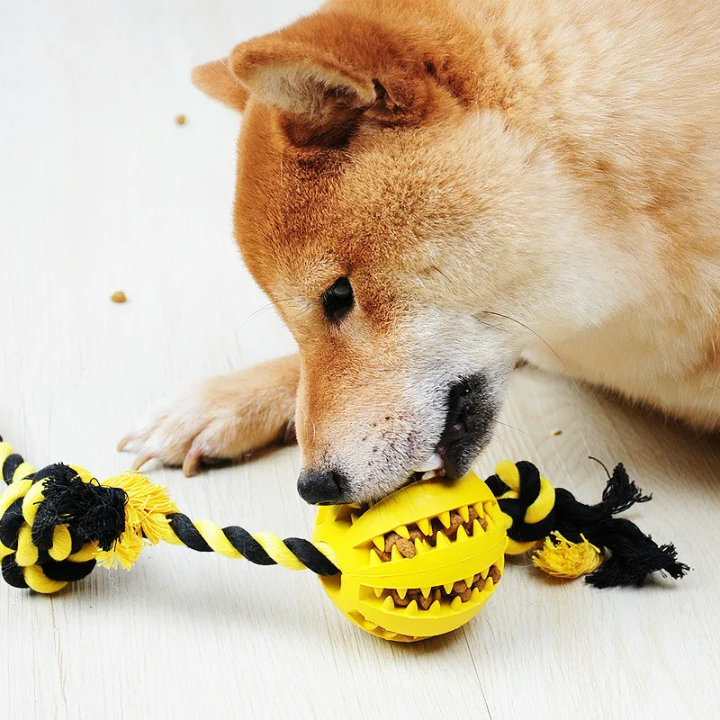 

Pet dog rope knot toys fun interactive elasticity ball chew Toy for clean teeth food Extra -Resistant rubber