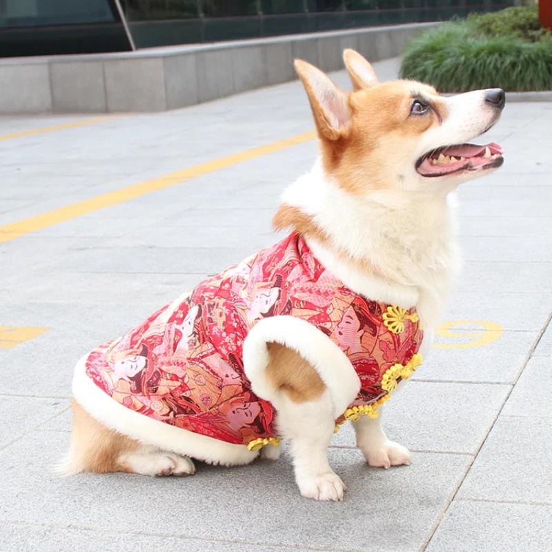 Китайский год одежда для собак Тан костюм Cheongsam вельш корги Одежда Пудель домашний питомец породы Бишон зимнее пальто куртка одежда для собак костюм