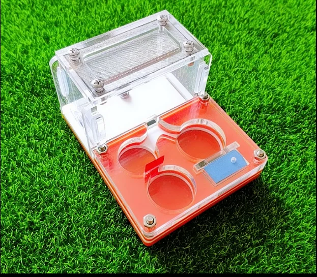 orange white Мини Муравьиное гнездо для миниатюрных муравьев ферма акриловая муравьиная Ферма для муравья королева маленькое племя граня де гормигаз nid fourmis вилла ПЭТ мания - Цвет: orange white
