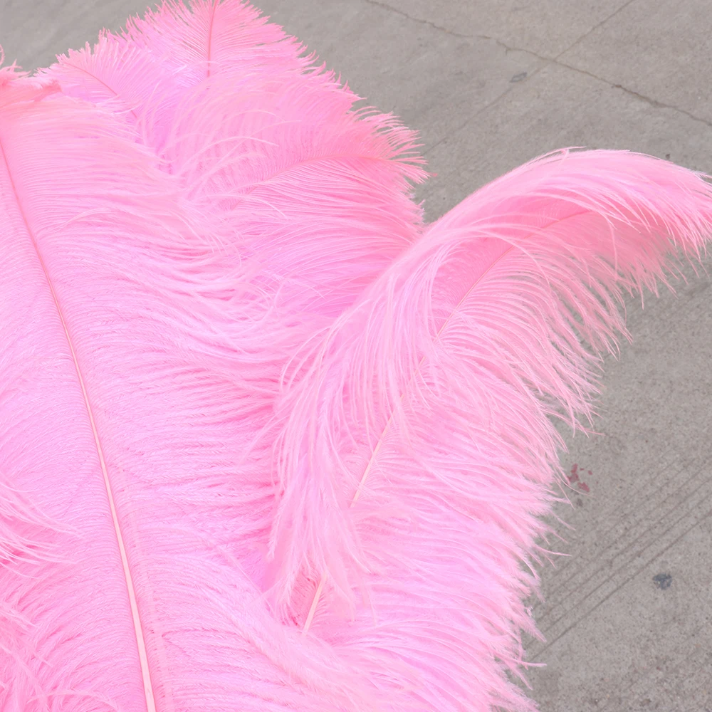 TS0165005 65-70cm ostrich feathers 4