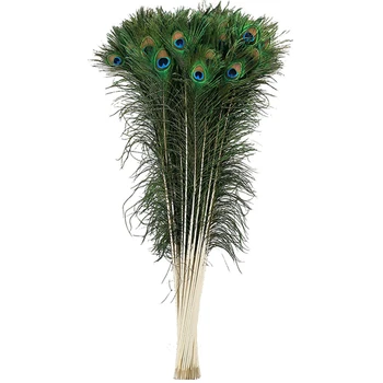 

50Pcs/Lot Natural Real Peacock Feathers for Crafts 10-32" Long Peacock Feathers for Jewelry Making Party Decoration Plume Plumas