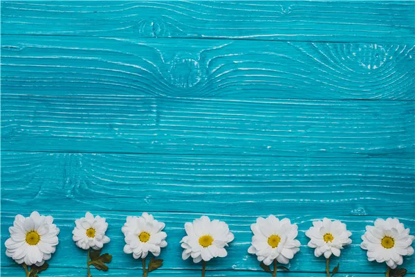 

SHENGYONGBAO Vinyl Custom Photography Backdrops Props Flower and Wood Planks theme Photo Studio Background 20212-45542