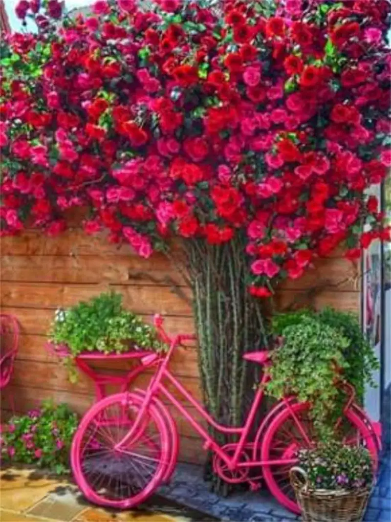 微信截图_20200928160827 - 副本 (2)