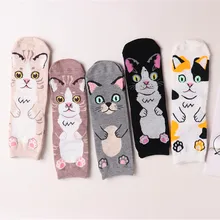 5 пар весенних новых женских носков с милым мультяшным котом и животным принтом, удобные повседневные носки из чёсаного хлопка