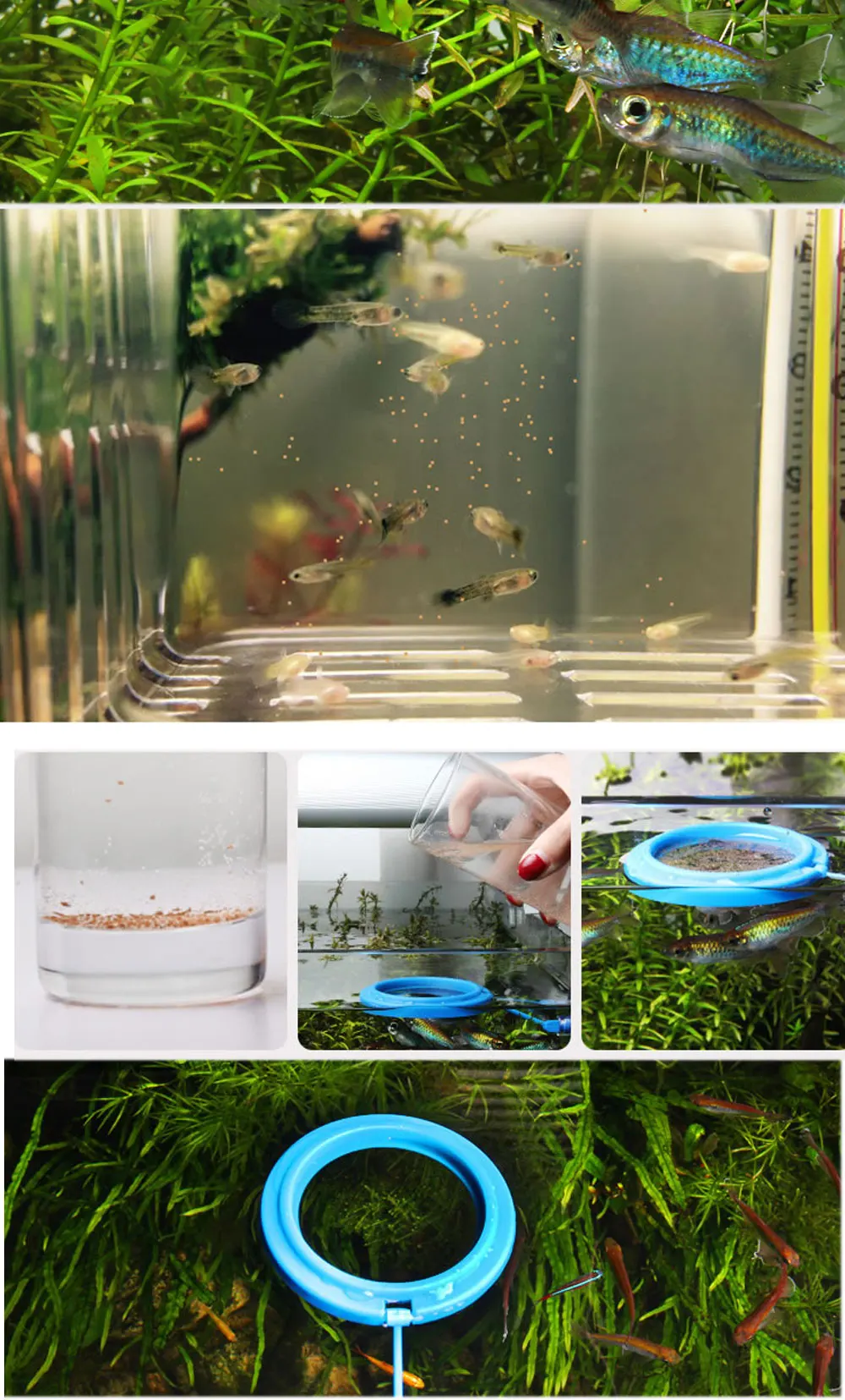 Ha19b04ce815046fb9df02f63864927563.jpg?width=1000&height=1655&hash=2655