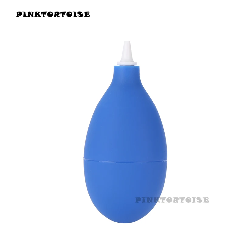 PINKTORTOISE ׼ ǳ Ŭ, û ,    ,  ǳ Ŭ 