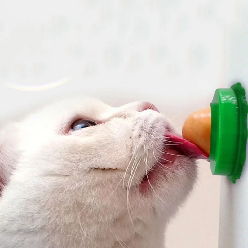 Sante Solide Chaton Snack Nourriture Chat Bonbons Chat Collation Vitamine Chat Pouding Chat Menthe Sucette Chat Bonbons Chat Energie Balle Bonbons Aliexpress