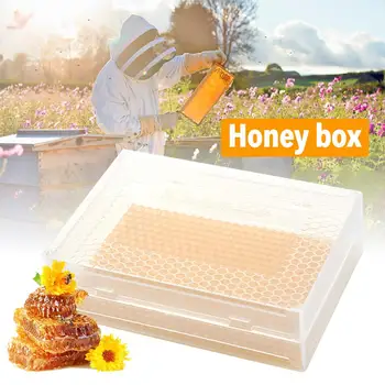 

Automatic Honey Collection Nest Frame Beekeeper Beehive Food-grade Plastic Honeycomb Block Bee Spleen Box Beekeeping Tools