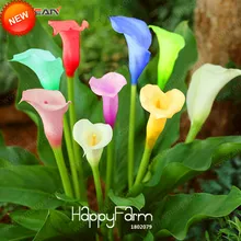 Распродажа! 100 шт./пакет Редкие Калла Лилия бонсай, корневищ лимонного дерева долгий срок жизни Калла Лилия Цветок Сад, 18 Цвета,# 654Z8P