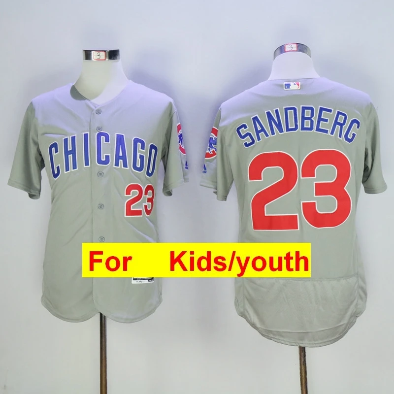 Фиолетовый Молодежная майка Chicago Javier Baez Anthony Rizzo Kris Bryant Ryne Sandberg FLEX& Cool Base - Цвет: Фиолетовый