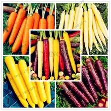 100 шт./пакет морковный бонсай, для фруктов и овощей, flores, питание, органические, здоровое питание для дома и сада посадки, легко растить