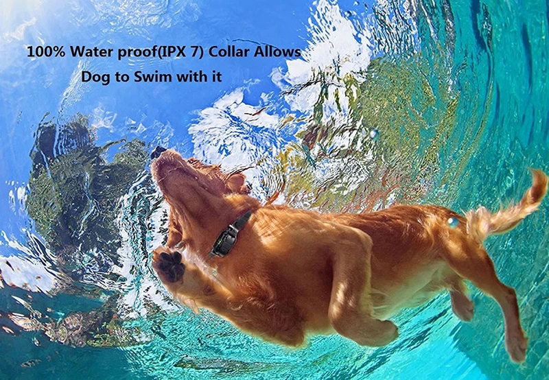 10-HTB1epzaO3HqK1RjSZFPq6AwapXam