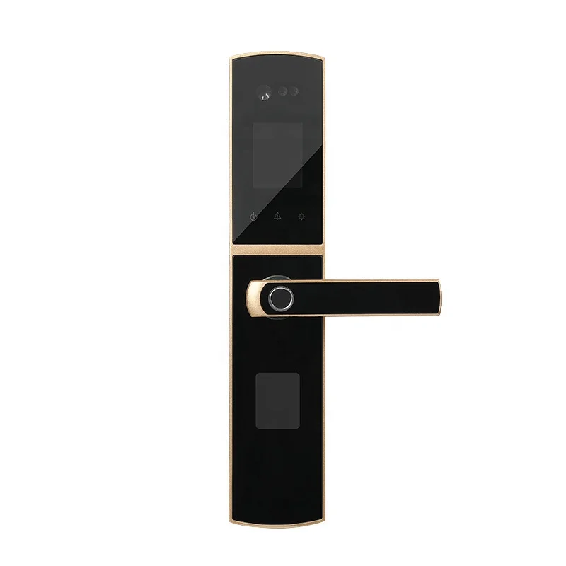 

Face Recognition Password Lock Palmprint Recognition Door Lock Household Anti-theft Electronic Lock