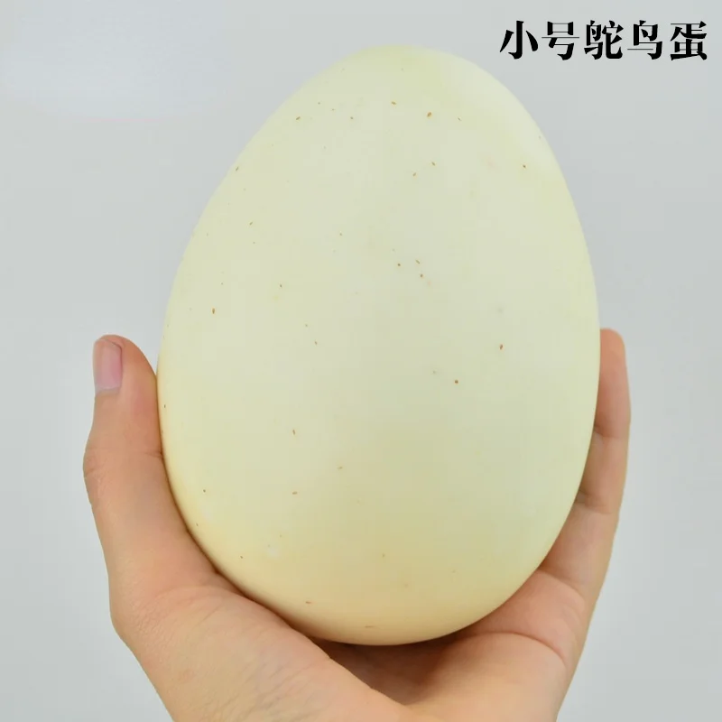 Simulation Ostrich Eggs Dummy Painted Egg For Children Educational Toys Artificial Food Easter Toy Children's Toy Food Model Kitchen Food Toys Fake Food Prank Toys Artificial Egg Decoration