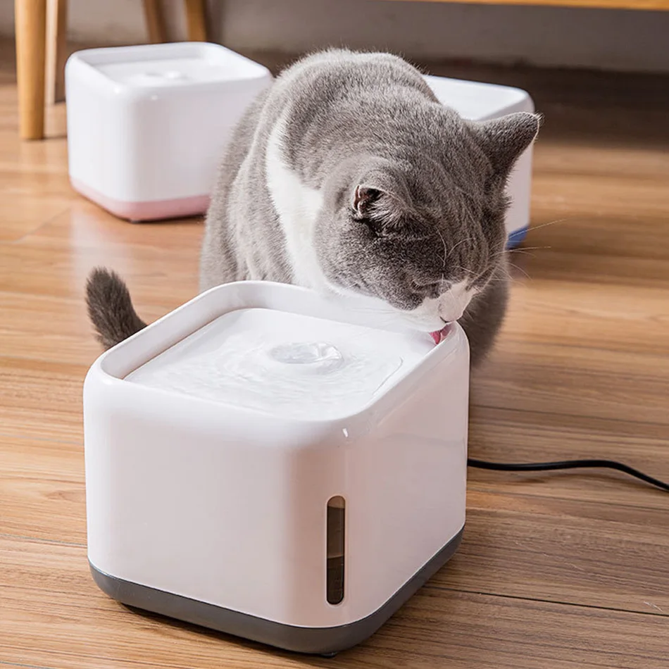 Pet dispensador de água elétrico gato automático