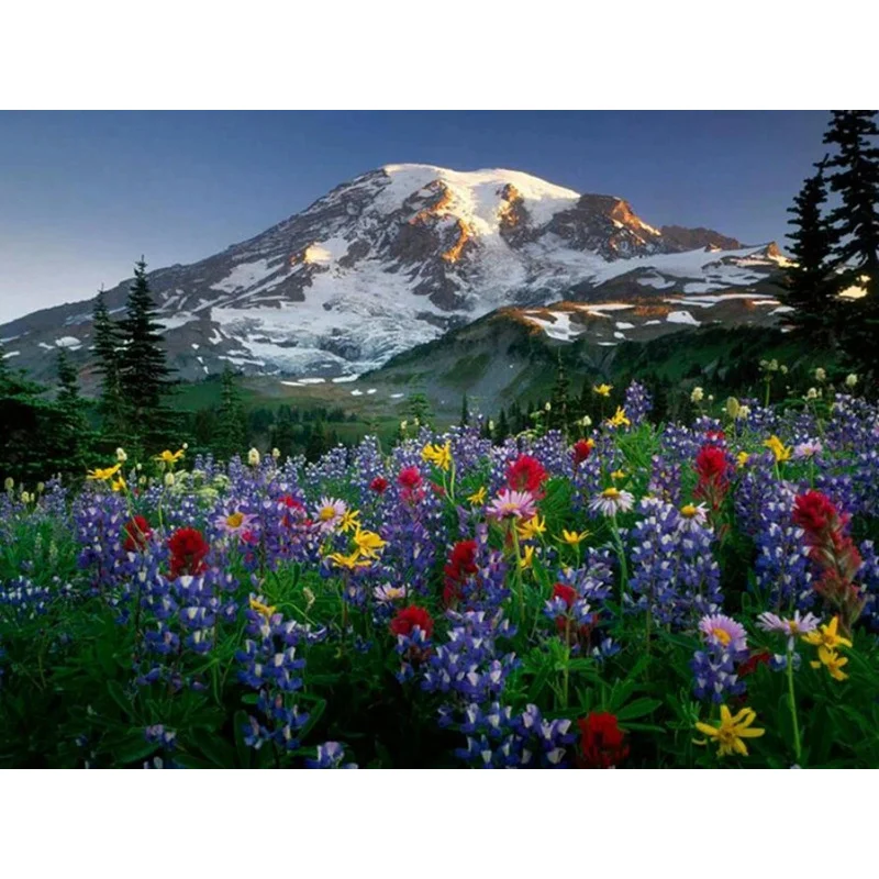 

5D DIY Diamond Painting Snow Mountain Flower Viewing Crystal Diamond Painting Cross Stitch Mosaic Home Decoration