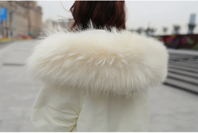 HTB1JUrrQXXXXXXHXFXXq6xXFXXXJ