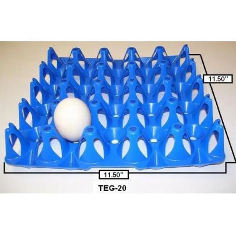 

Case Plastic Egg Tray Replacement For Turkey Duck Incubator 1pc Supplies Carrier Storage box