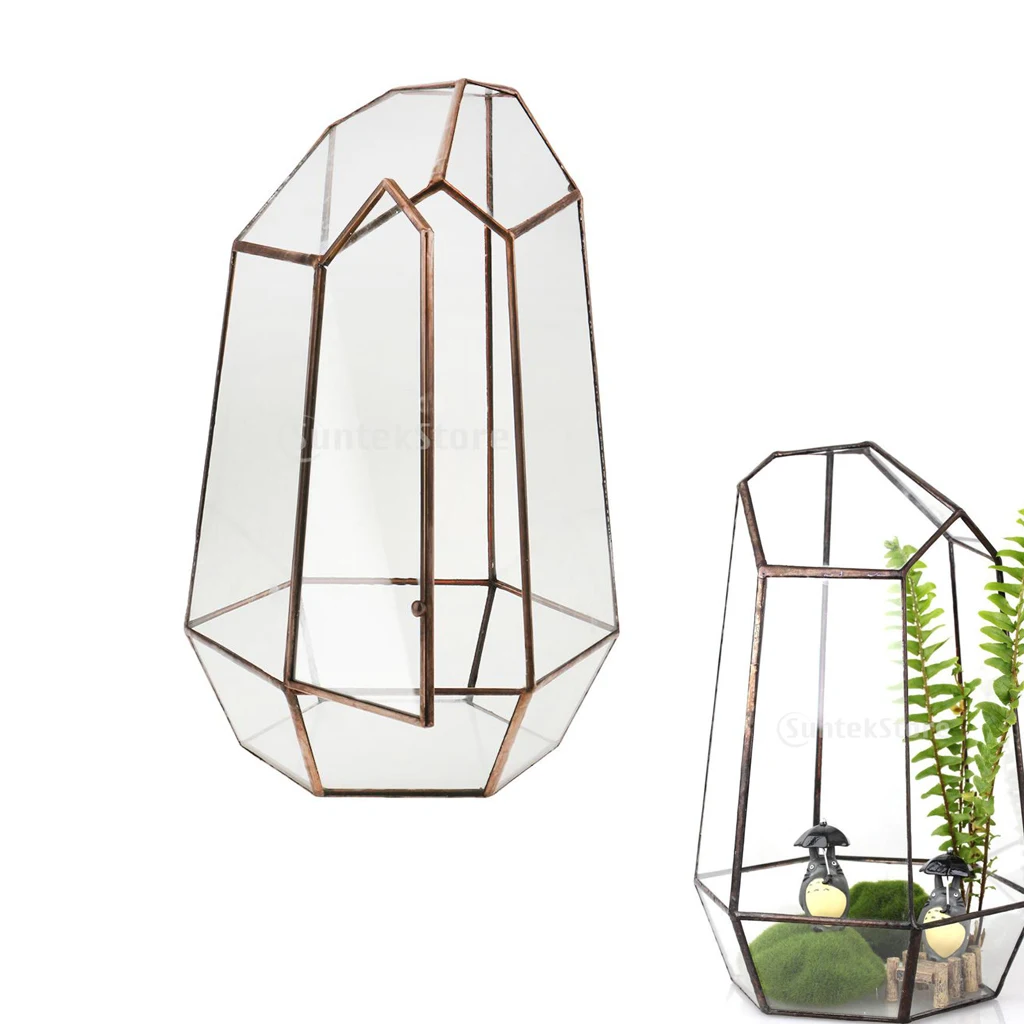 Geometric Fern Moss Succulent Glass Terrarium Plant Pot Box for Christmas Decor