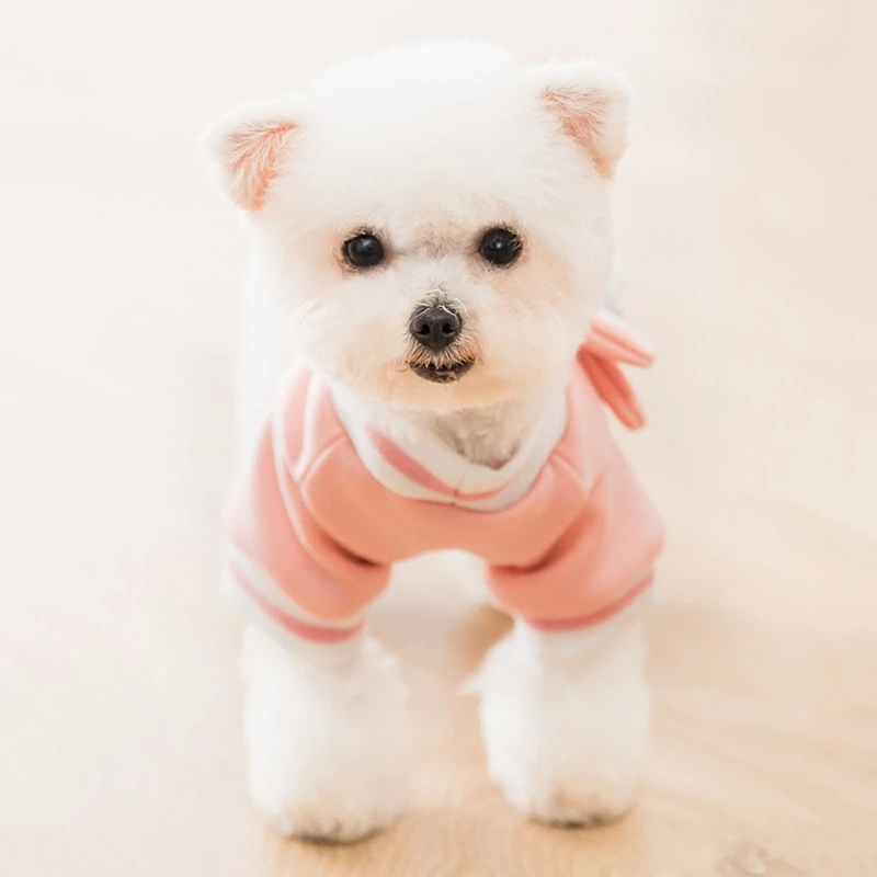 

Cute Cartoon Dog Cat Two-legged Vest Warm Coat Jacket Puppy Pet Clothing Labrador Retriever Clothes XS-3XL
