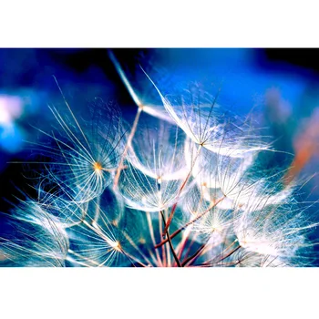 Tanie Robótki, Pełne, Haft Diamentowy, 5D, Diamentowe Malowanie Dmuchawiec 3d Zdjęcia, Obraz, ścieg Krzyż, 3D, Diamentowa Mozaika, Rękodzieło, Prezenty